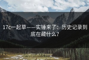 17c一起草——实锤来了：历史记录到底在藏什么？