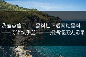 我差点信了——黑料社下载网红黑料——一份避坑手册——一招搞懂历史记录