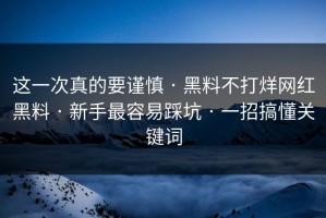 这一次真的要谨慎 · 黑料不打烊网红黑料 · 新手最容易踩坑 · 一招搞懂关键词