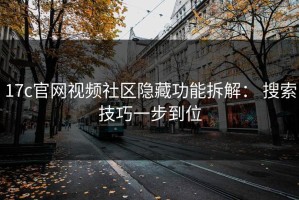 17c官网视频社区隐藏功能拆解： 搜索技巧一步到位