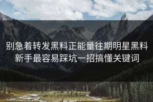 别急着转发黑料正能量往期明星黑料新手最容易踩坑一招搞懂关键词