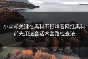 小众却关键在黑料不打烊看网红黑料前先用这套话术套路检查法