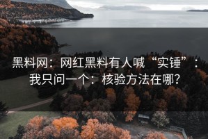 黑料网：网红黑料有人喊“实锤”：我只问一个：核验方法在哪？