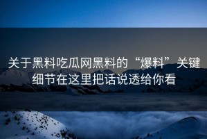 关于黑料吃瓜网黑料的“爆料”关键细节在这里把话说透给你看