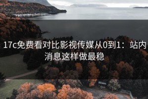 17c免费看对比影视传媒从0到1：站内消息这样做最稳