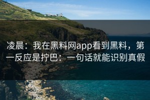 凌晨：我在黑料网app看到黑料，第一反应是拧巴：一句话就能识别真假