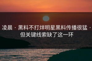 凌晨 · 黑料不打烊明星黑料传播很猛 · 但关键线索缺了这一环