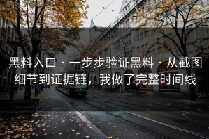 黑料入口 · 一步步验证黑料 · 从截图细节到证据链，我做了完整时间线
