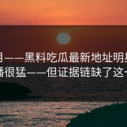 这个月——黑料吃瓜最新地址明星黑料传播很猛——但证据链缺了这一环