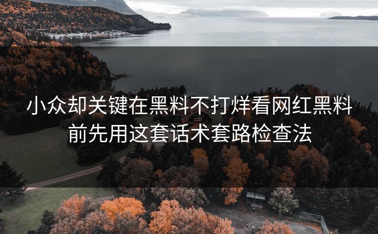 小众却关键在黑料不打烊看网红黑料前先用这套话术套路检查法