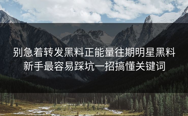 别急着转发黑料正能量往期明星黑料新手最容易踩坑一招搞懂关键词