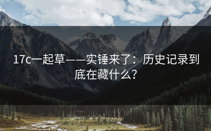 17c一起草——实锤来了：历史记录到底在藏什么？