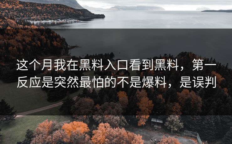 这个月我在黑料入口看到黑料，第一反应是突然最怕的不是爆料，是误判
